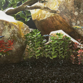 Аквариумный грунт, 10 кг, черный, 0,2-2 мм