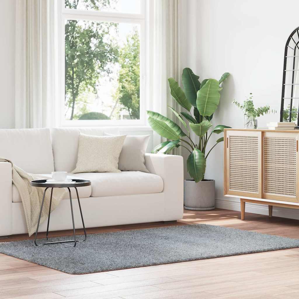 kõrge narmaga Shaggy vaip, NAVARRA, helehall, 130x200 cm