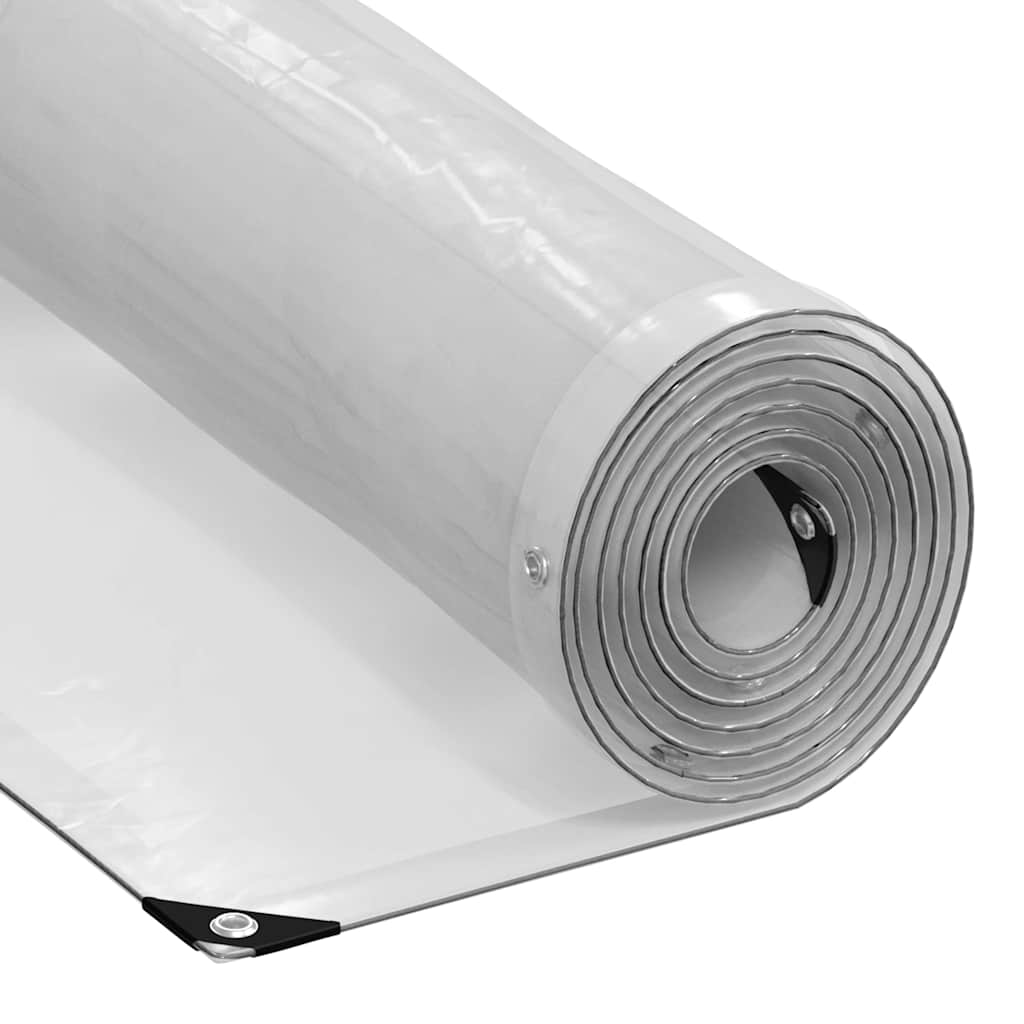 Läbipaistev Present aasadega 3x10 m Polüetüleen